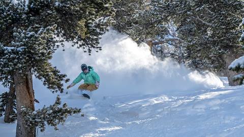 Howie snowboarding powder in Black Forest