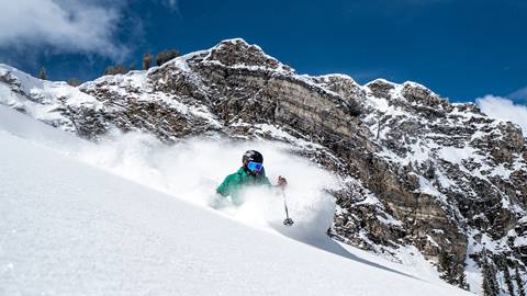 Sean skiing powder in Honeycomb Canyon on a bluebird day