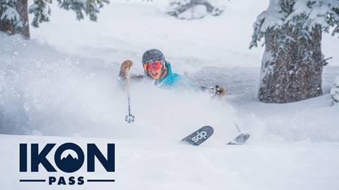 Person skiing fresh pow at Solitude with Ikon Pass logo overlayed
