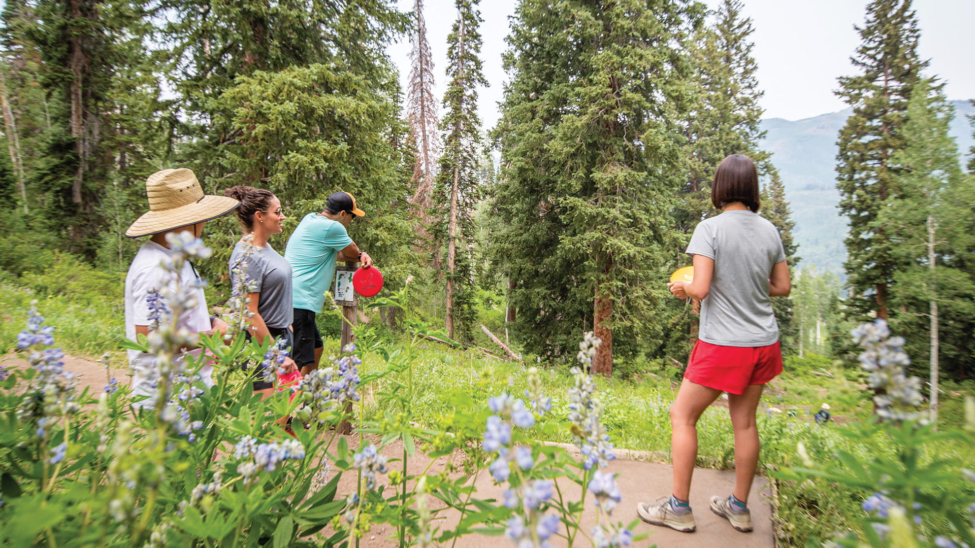 A group of friends waiting to tee off on the next disc golf hole at Solitude