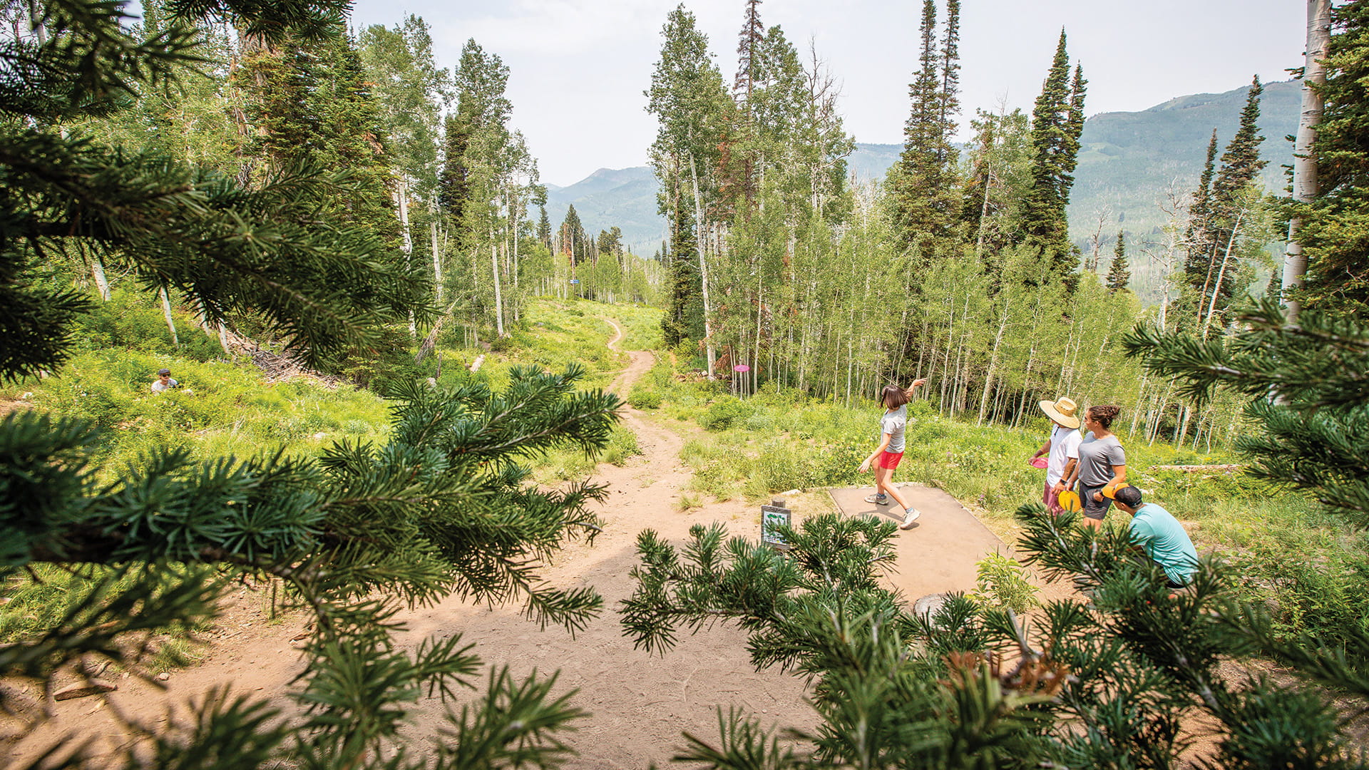 Disc golfers teeing off down a hill at Solitude
