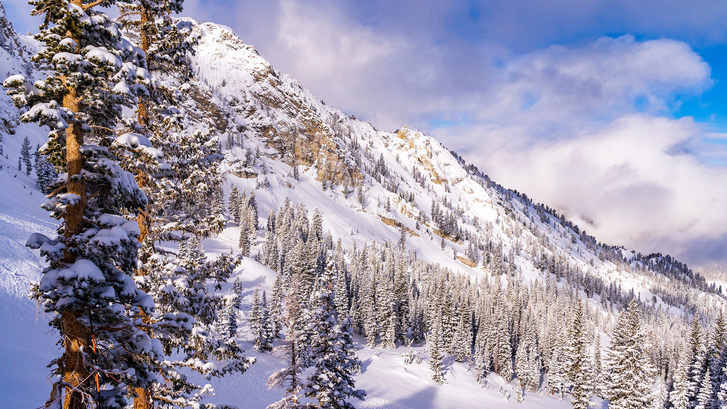 Scenic photo of Honeycomb Canyon on a bluebird day