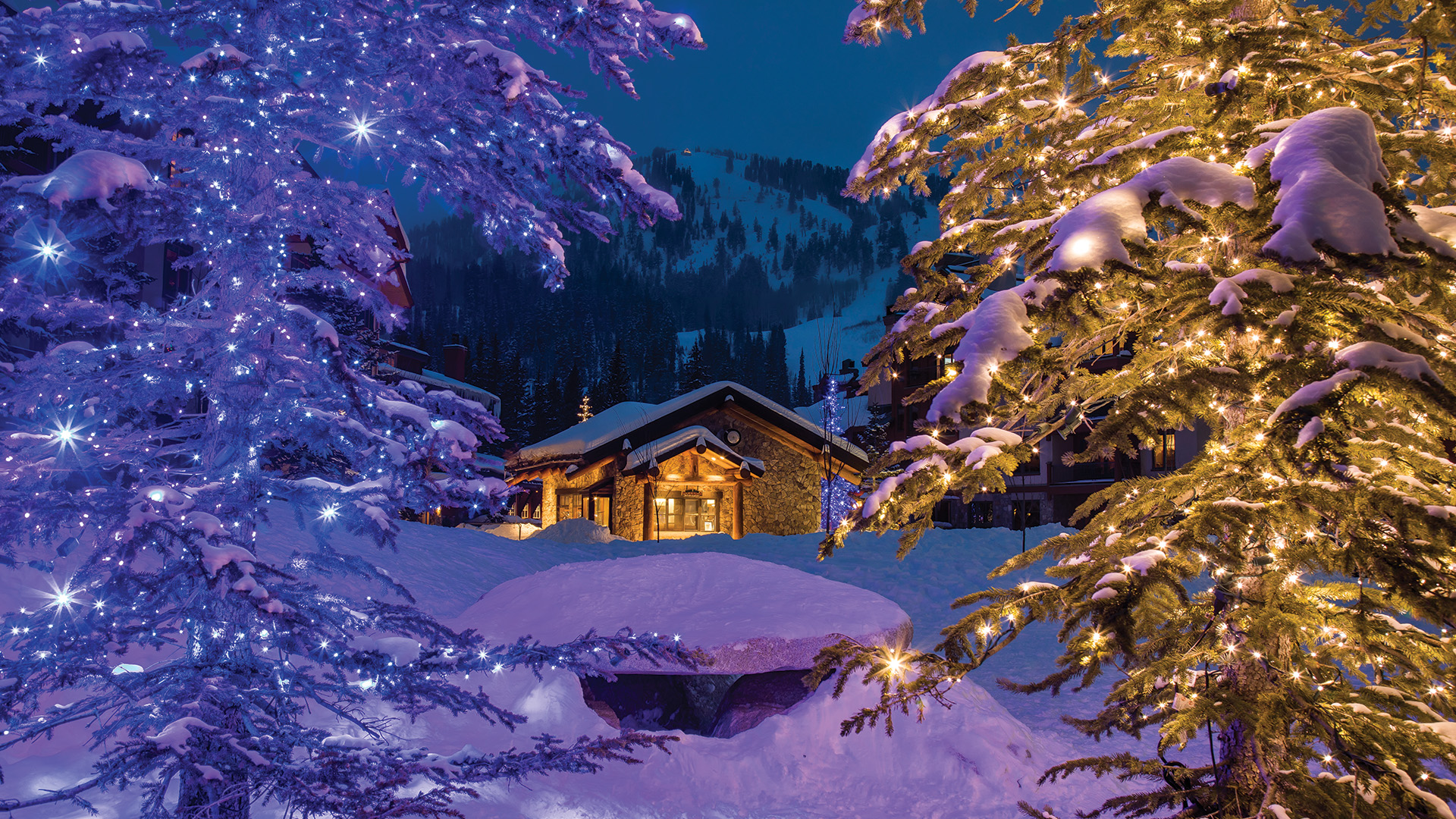 Holidays at Solitude