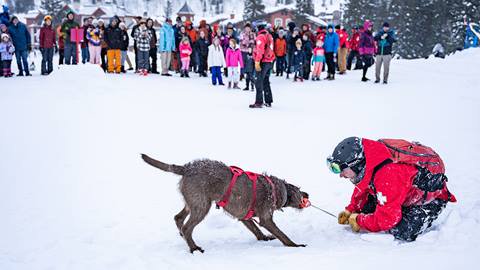 A Solitude Ski Patroller demonstrating how they train avalanche dogs at a demo