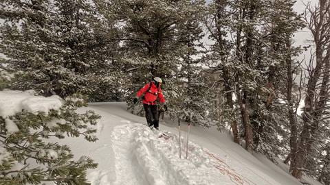 A Solitude Ski Patroller looking at the avalanche bomb he just threw