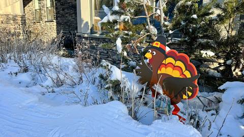 Thanksgiving turkey hunt at Solitude Mountain Resort