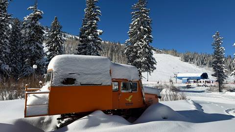 Solitude's Tucker Cat with snow on the top