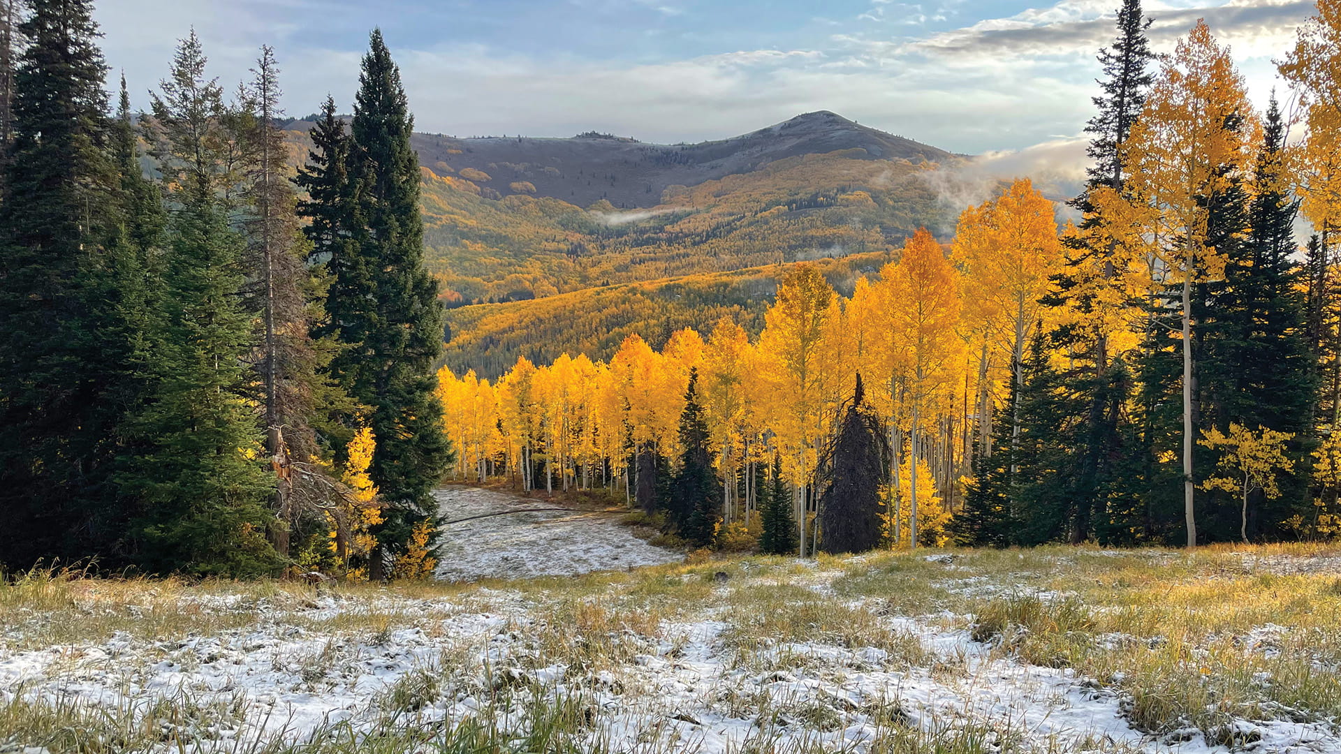 First snow of the fall