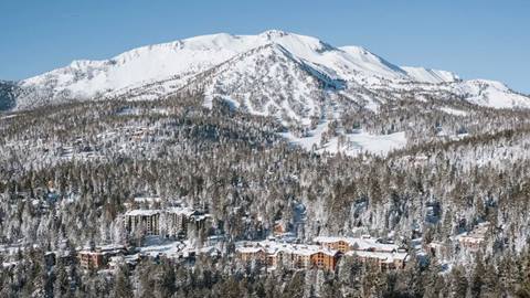 Mammoth