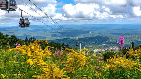 Stratton