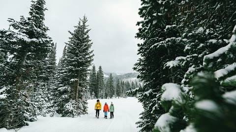 Snowshoeing at the Solitude Nordic & Snowshoe Center