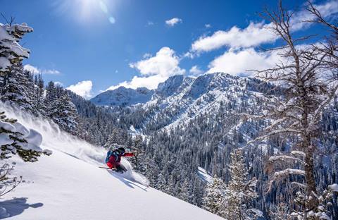 Skier at Solitude first tracks on bluebird powder day