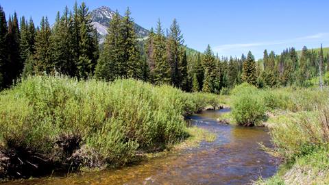 Big Cottonwood Creek near Solitude Mountain Resort