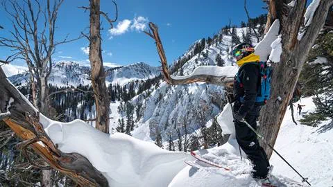 A skier picking a line on a bluebird day at Solitude Mountain Resort