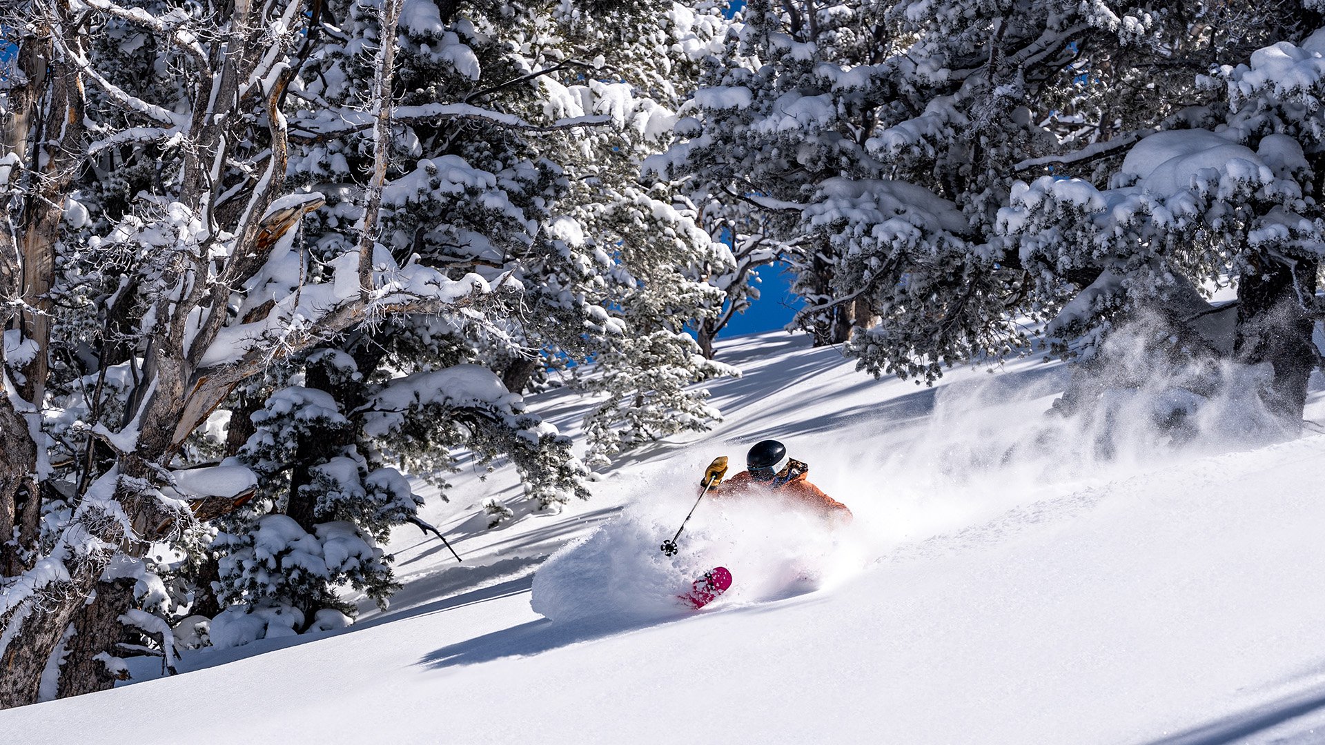 2023 solitude mountain resort bl pow skiing 001