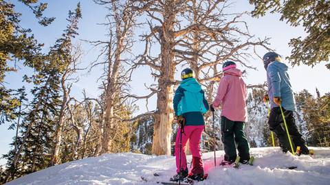 Three friends on a geology ski tour at Solitude