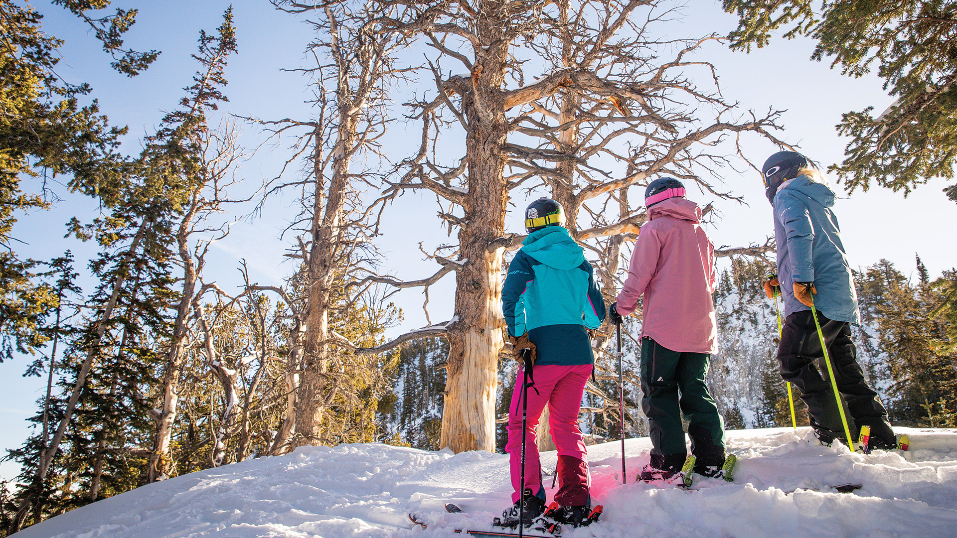 Three friends on a geology ski tour at Solitude