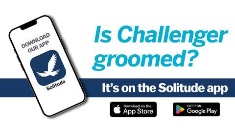 Solitude App Graphic asking if Challenger is groomed