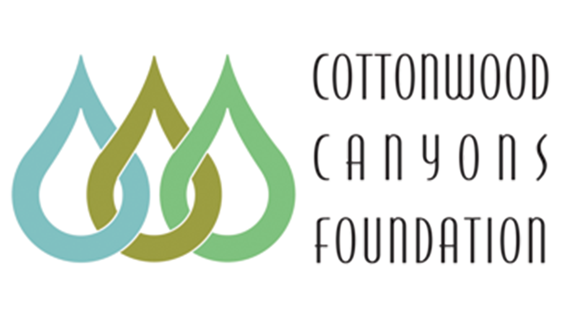 Cottonwood Canyons Foundation logo
