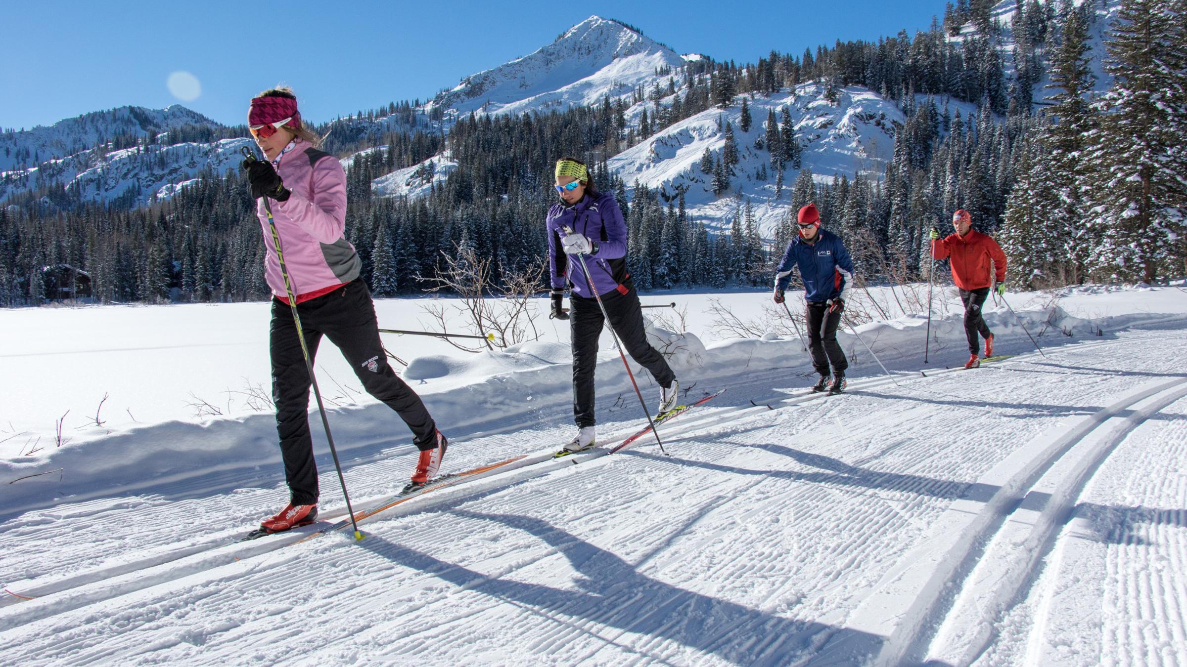 Group Nordic Skiing