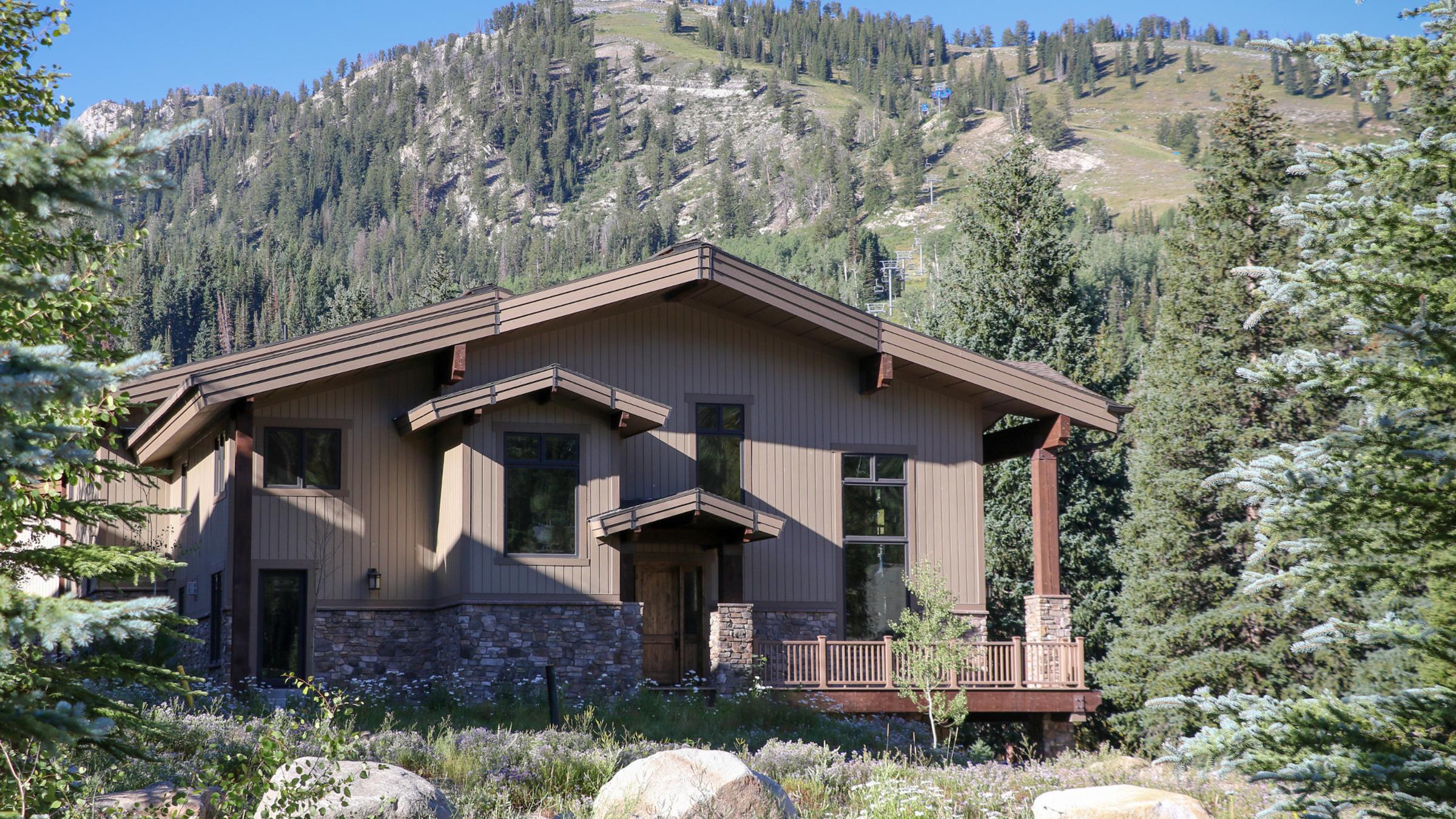 Silver Aspen Summer