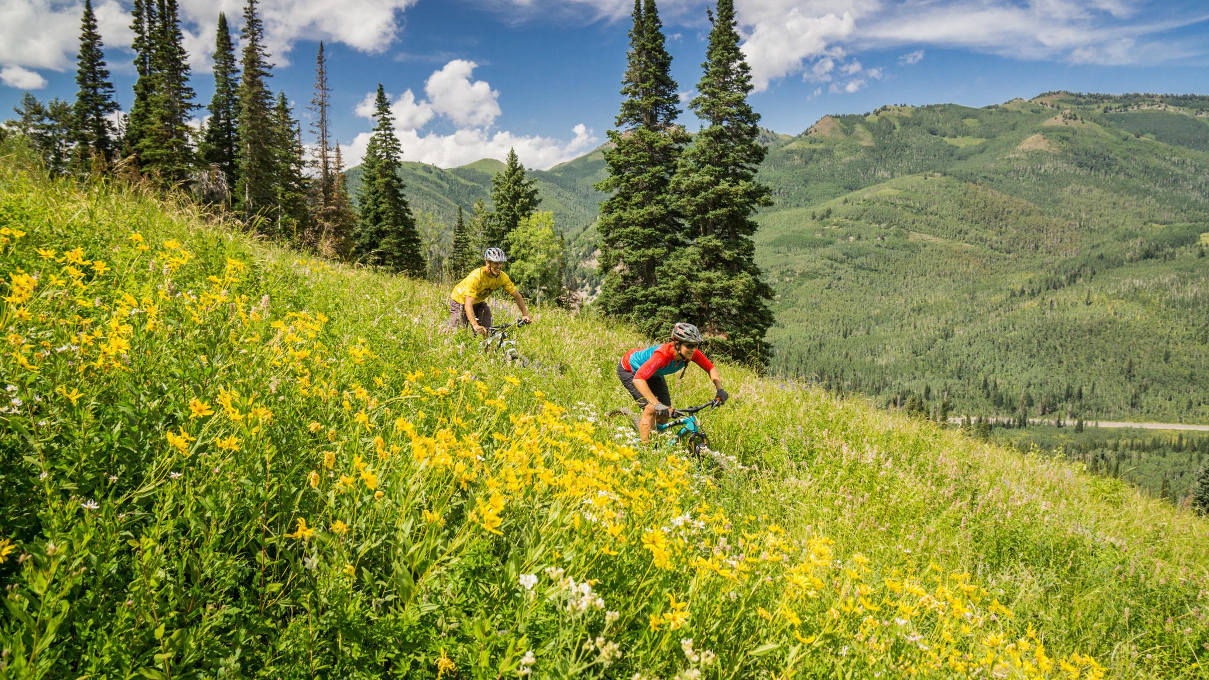 Mountain Biker Enjoys Summer MTB Trails
