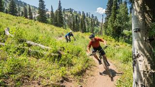 Two people mountain biking a dirt trail