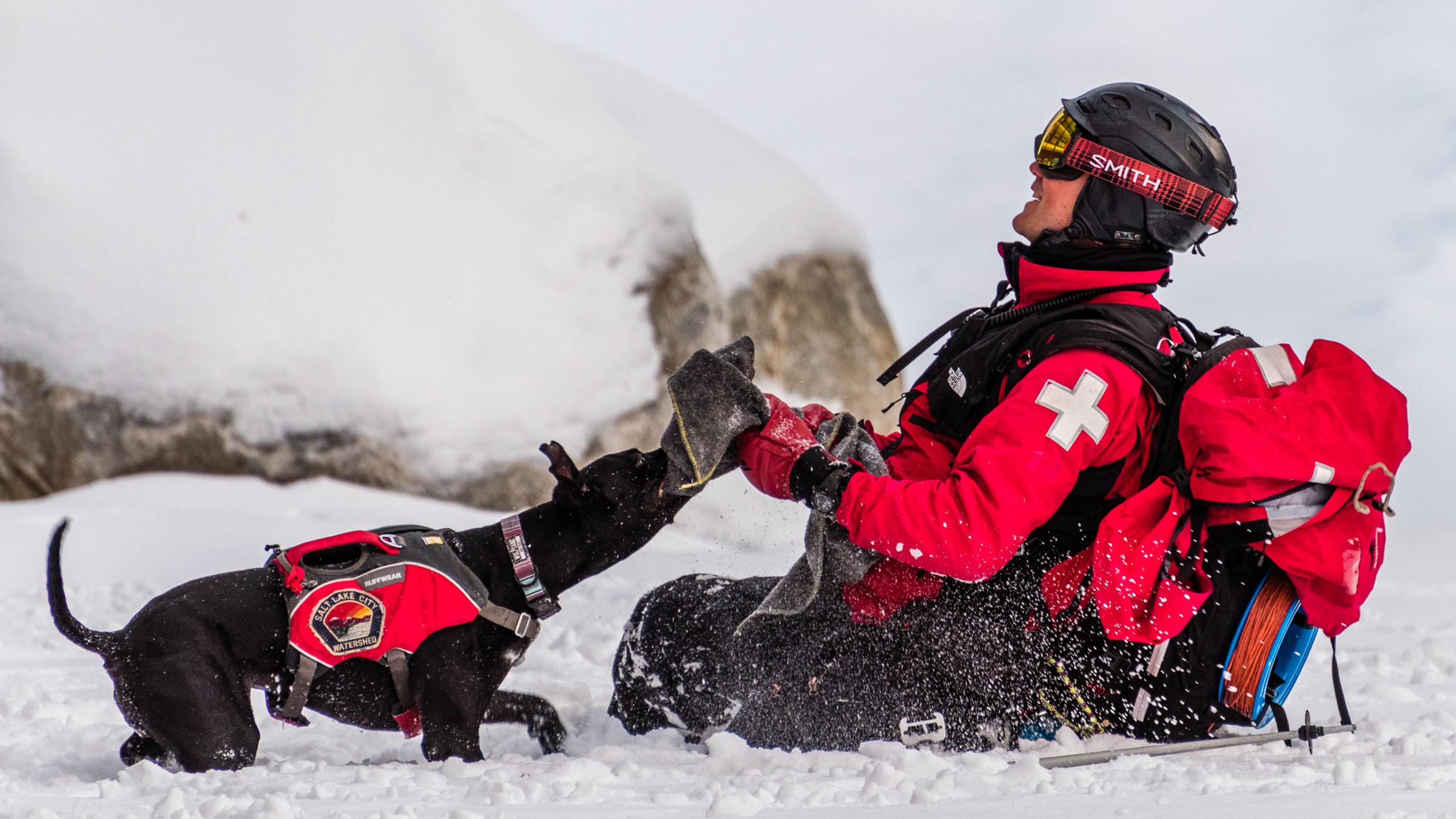 Avalanche Dog Demonstration