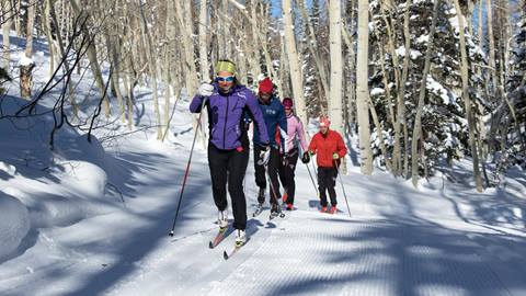 A group Nordic skiing on groomed trails in the woods