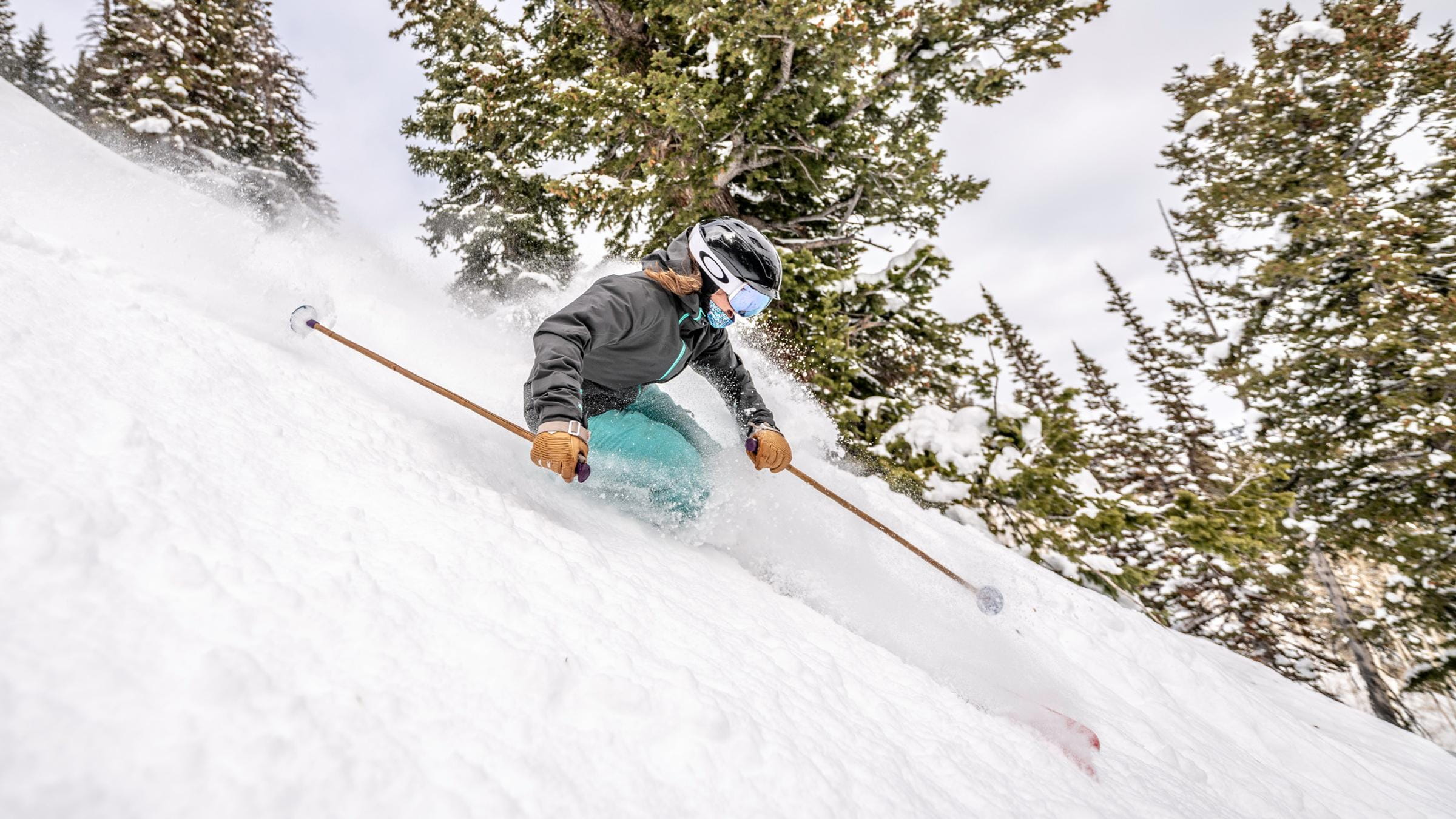 skier skiing fresh powder
