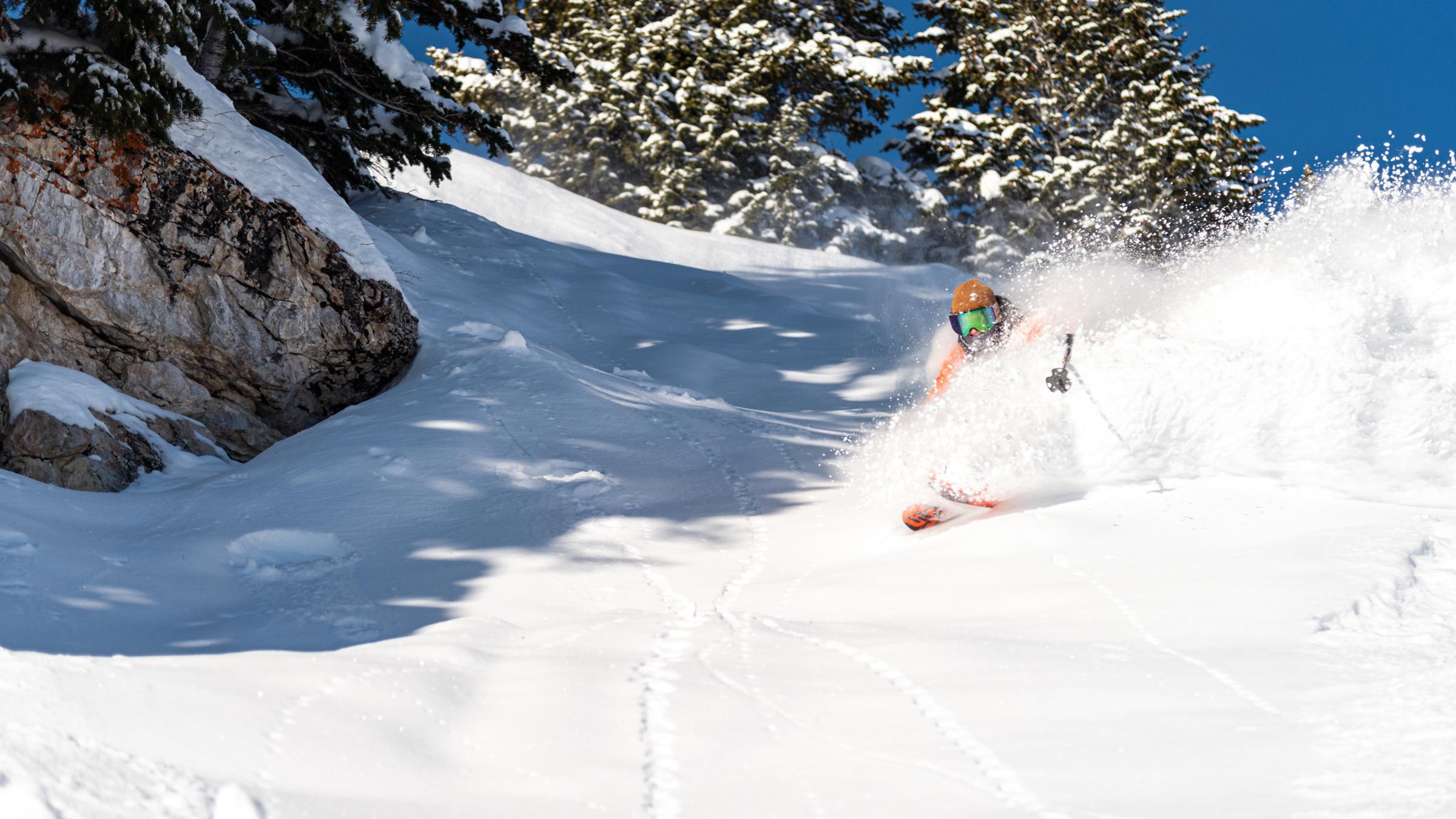 Male skier makes a powder turn under a blue sky at Solitude Mountain Resort